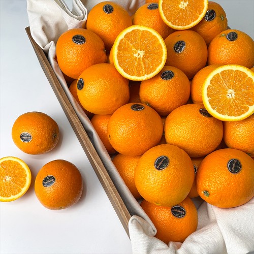 퓨어스펙 블랙라벨 오렌지 중소과 대용량 특가