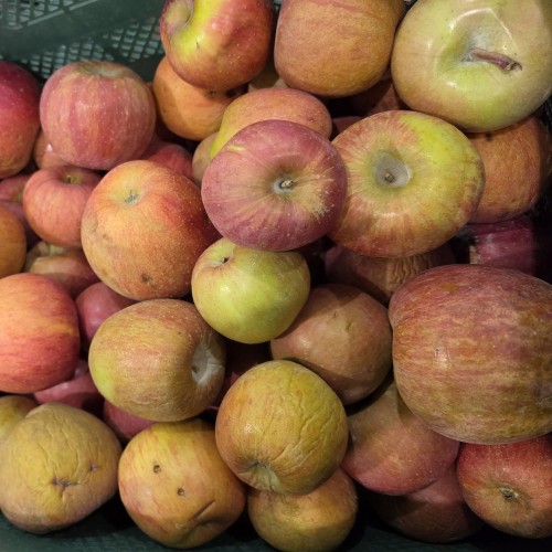 주스용 사과 (박스포함)