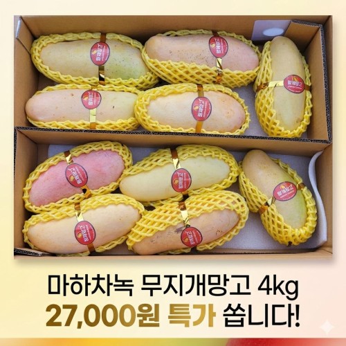 마하차녹 무지개망고 시즌오픈 특가