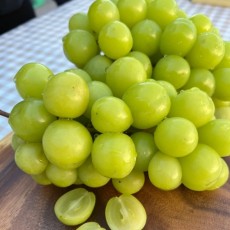 [자체물류] 샤인머스켓