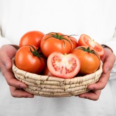 스테비아 완숙 토망고