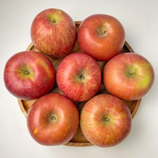 부사 사과 특품