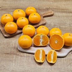 가정용 하우스 천혜향