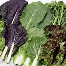 제철 쌈채소 모둠 (7종 랜덤)