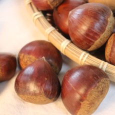 정안 유기농 피밤