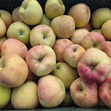 주스용 빨간사과