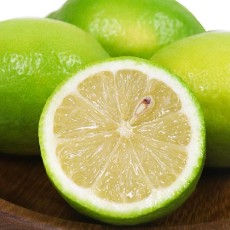 무농약 제주 레몬