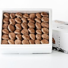 괴산 유기농 선물용 표고버섯 2kg(동고)