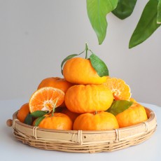 고당도 햇 윈터프린스