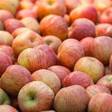 청송 얼음골 부사 사과 박스포함 8kg 특가 [출고일 2~3일 소요]