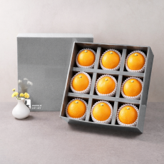 [9과수] 천혜향 선물세트