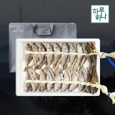 영광법성포 실속 굴비세트