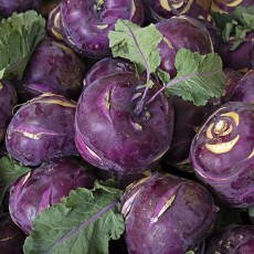 국산 콜라비 혼합과