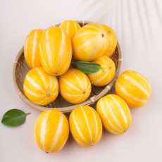 성주 참외 못난이 혼합과