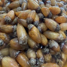 [3/23 출고예정] 오독오독 활 미더덕