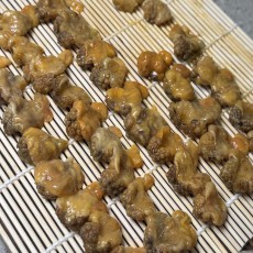 [3/23 출고예정] 손질 미더덕회 [2-3일 출고 소요]