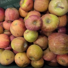 주스용 사과 (박스포함)