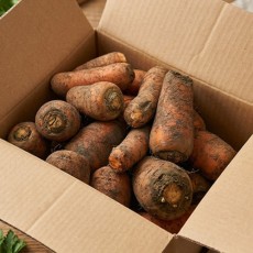 [행사] 못난이 당근 혼합과 박스포함 10kg