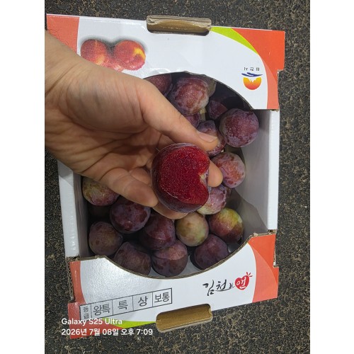속 빨간 피자두