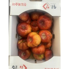 천반도 (천도 납작복숭아)