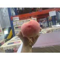 딱딱이 복숭아 특대과