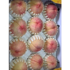 말랑이 백도복숭아