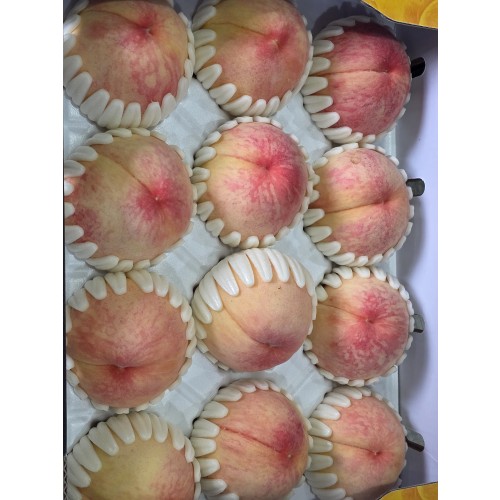 말랑이 백도복숭아