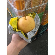 가정용 햇 배