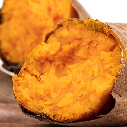 호풍미 당근호박고구마