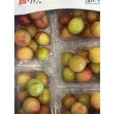 시즌오픈 하우스 자두