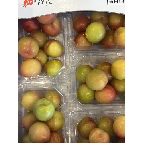 시즌오픈 하우스 자두