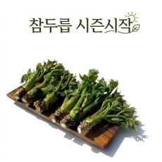 [시즌오픈] 참두릅 !