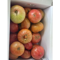 [긴급특가!!!] 쥬스용 토마토