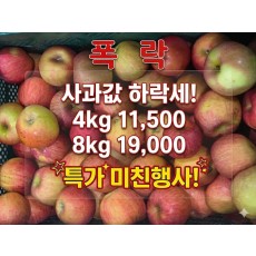 사과값 하락세 가정용 미친 노마진 특가 !
