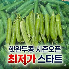 햇완두콩 시즌오픈 !
