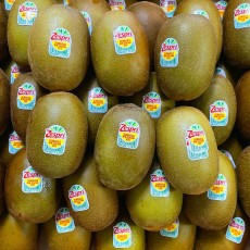 뉴질랜드 제스프리 골드키위